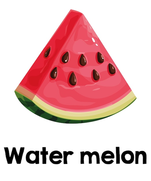 Fantastique Fruits Frais Melon D'eau