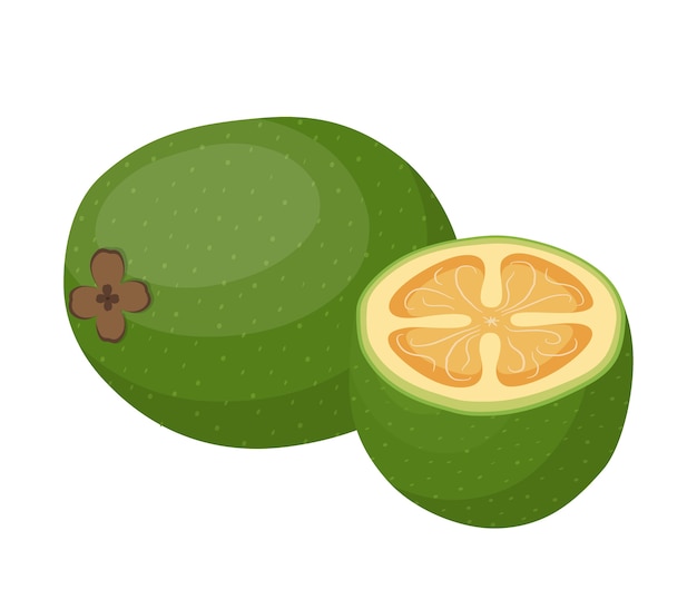 Feijoa