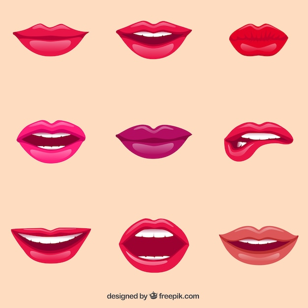 Vecteur female lips