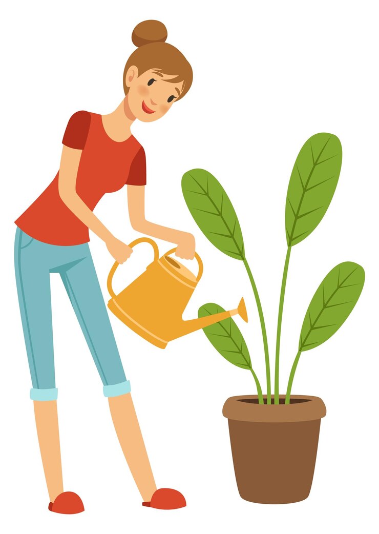 Femme arrosant une plante d'intérieur à partir d'une boîte de jardinage