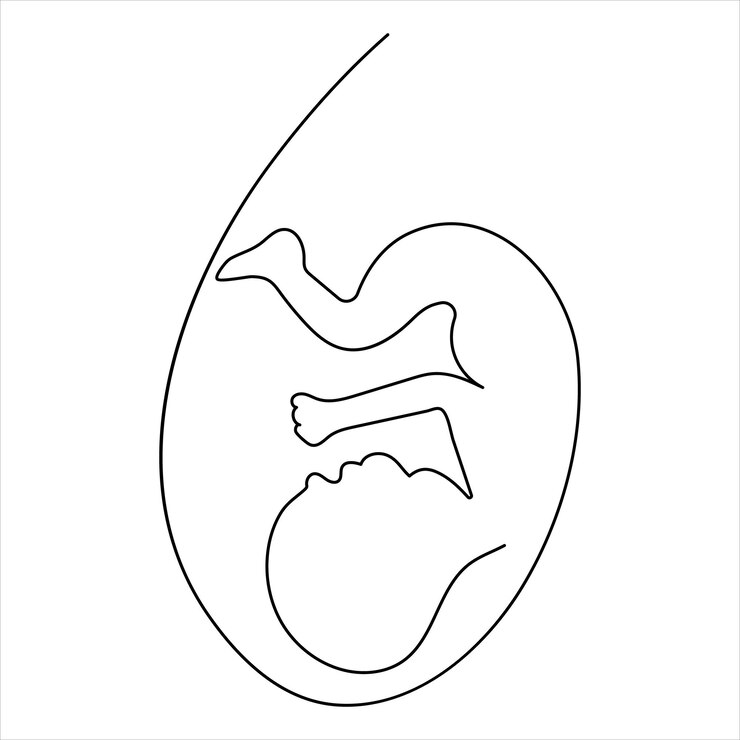 Vecteur femme enceinte dessin artistique en ligne continue et illustration artistique vectorielle du contour de la journée de la femme