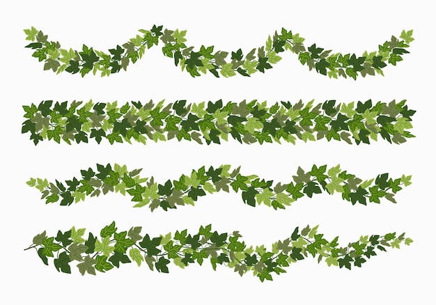 Festons de lierre et bordures diviseurs décoratifs creeper vert isolés sur fond blanc