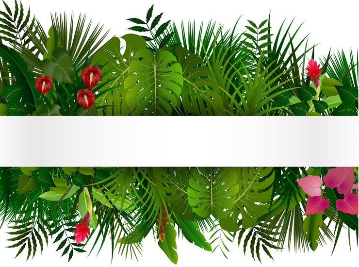 Vecteur feuillage tropical avec isolant de bannière horizontale