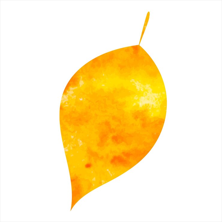 Vecteur feuille aquarelle orange silhouette sur fond blanc vecteur isolé