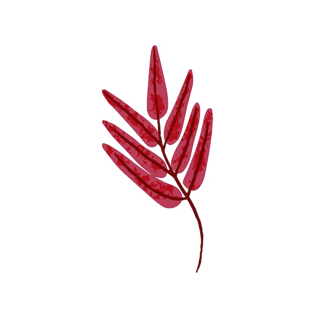 Feuille d'arbre d'automne Feuilles d'automne d'octobre rouge sec Dessin botanique moderne abstrait du feuillage automnal Clipart de la nature Illustration de vecteur plat coloré isolé sur fond blanc