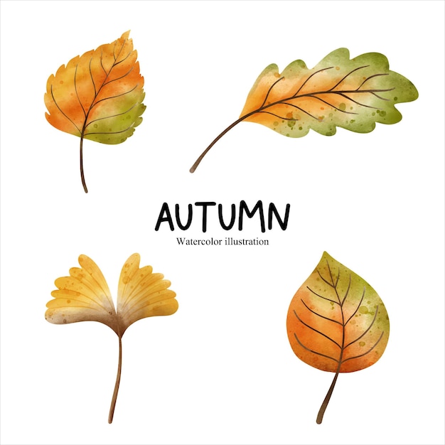 Feuille D'automne Aquarelle Saison D'automne Illustration Vectorielle