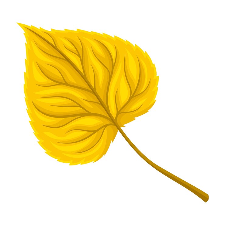 Vecteur feuille d'automne brillante avec des fibres isolées sur fond blanc objet illustré vectoriel concept de feuillage doré en chute