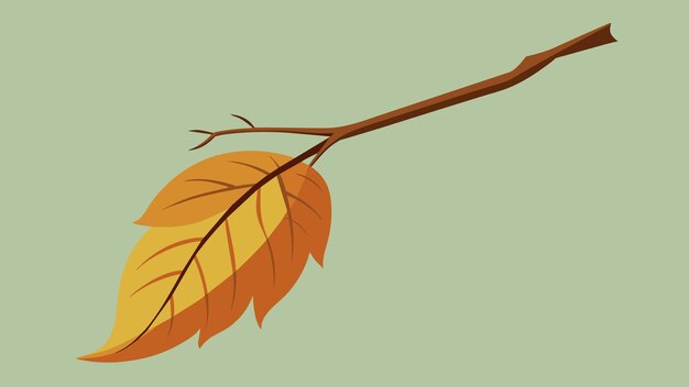 Vecteur une feuille d'automne fanée détachée de sa branche capture le concept stoïque de détachement et