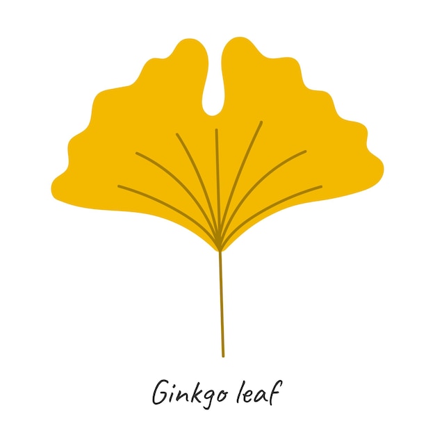 Vecteur feuille d'automne ginkgo illustration vectorielle