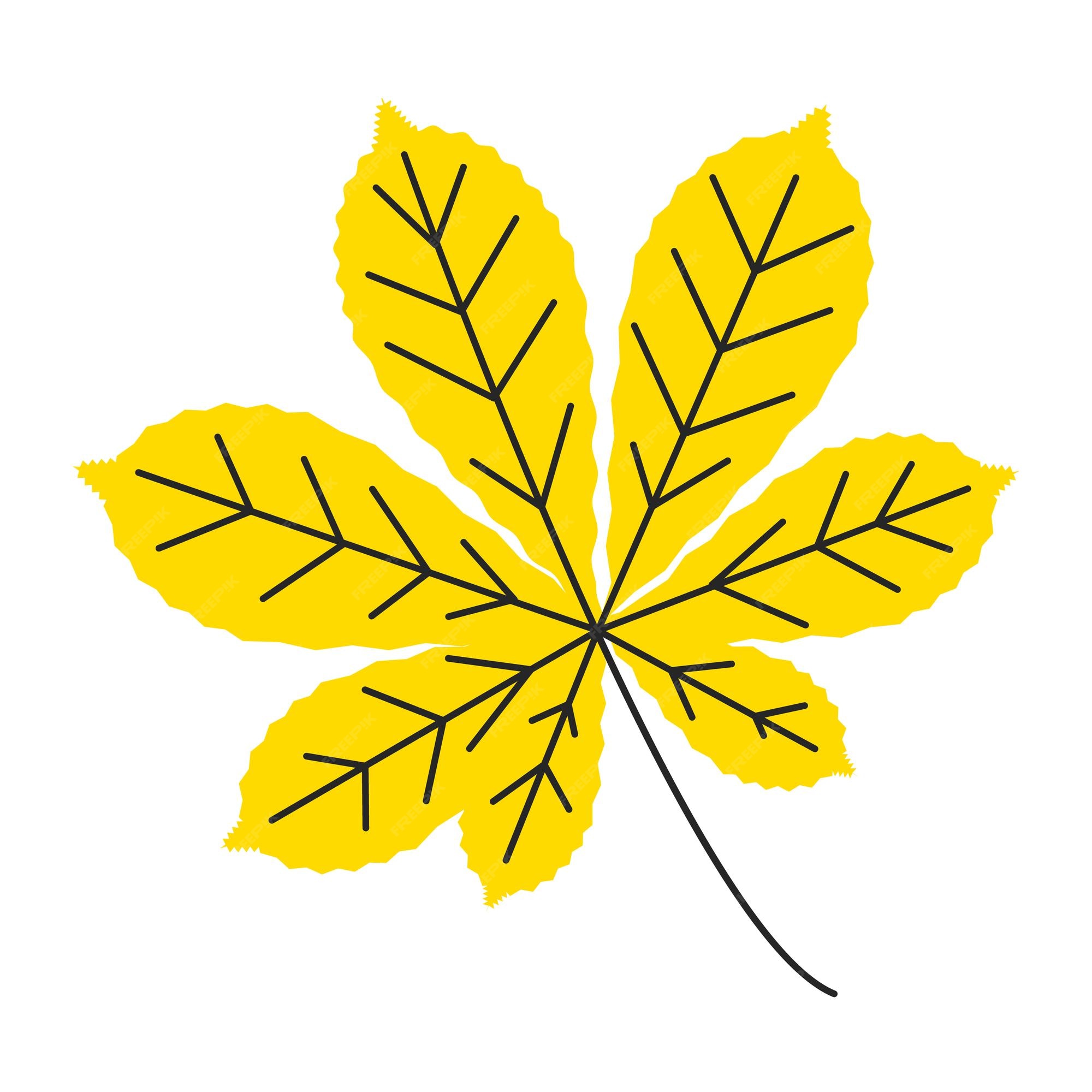 paquet de feuilles simples - jaune