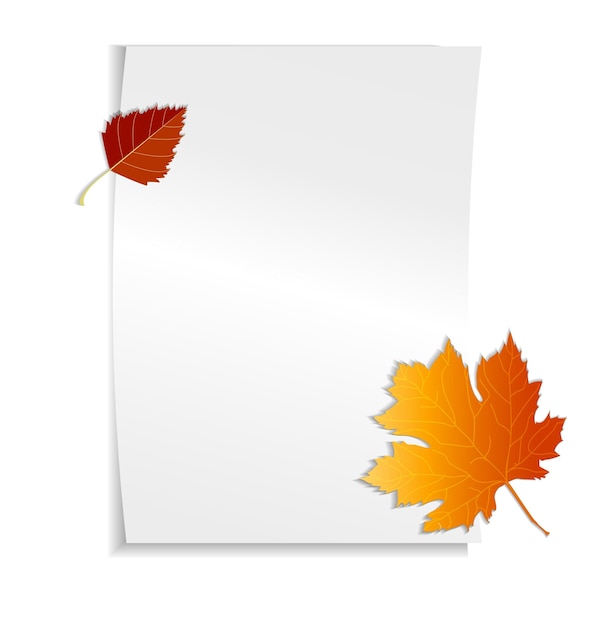 Feuille Blanche De Papier A4 Avec Espace Pour Le Texte De Votre Conception  à Côté De La Feuille D'érable D'automne Feuilles D'automne Le Concept Du  1er Septembre Retour à La Journée De