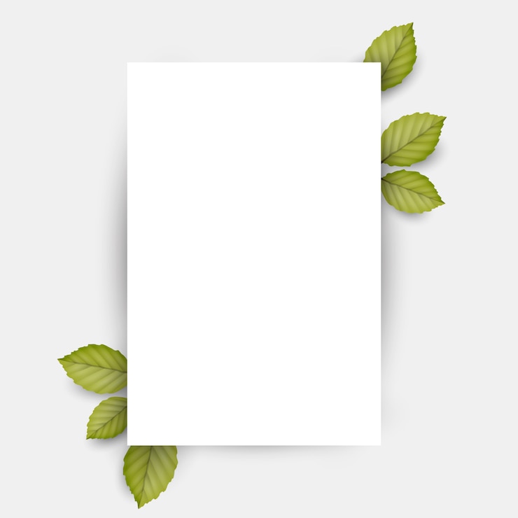 Vecteur feuille blanche vierge et feuilles de printemps fraîches vertes