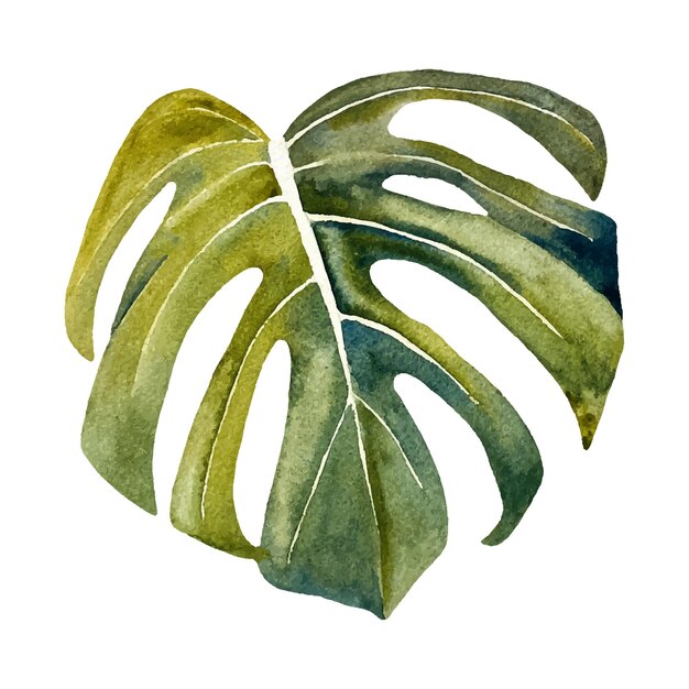 Feuille botanique aquarelle de monstera dans un style moderne. Idéal pour les cartes de vœux, les invitations de mariage