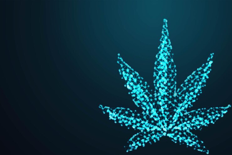 Vecteur feuille de cannabis marijuana avion filaire polygonal 3d abstrait sur ciel bleu nuit avec des points et des étoiles illustration ou arrière-plan