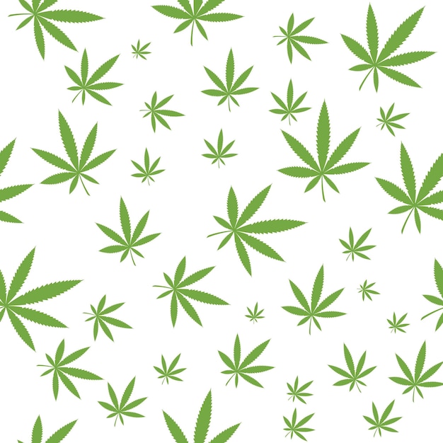 Feuille De Cannabis Vectorielle Continue