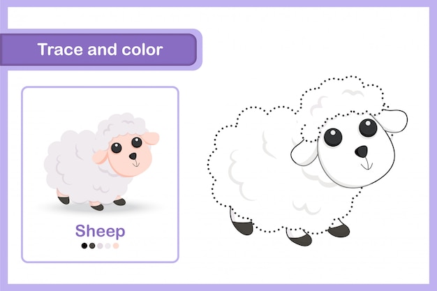 Feuille De Dessin Et De Vocabulaire, Trace And Color: Sheep