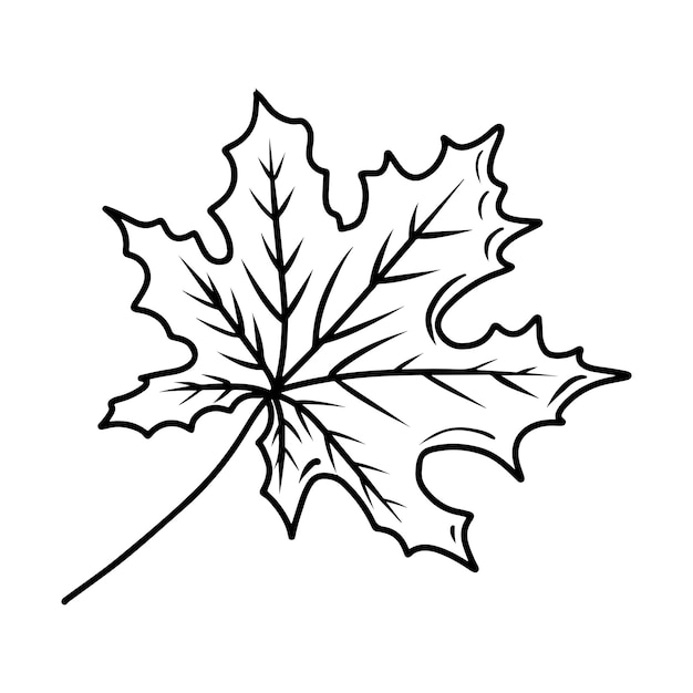 Feuille d'érable en croquis noir illustration dessinée à la main isolée sur fond blanc Concept de feuilles tombantes d'automne Dessin vectoriel dans le style de ligne doodle Nature de conception de feuille tombante d'arbre