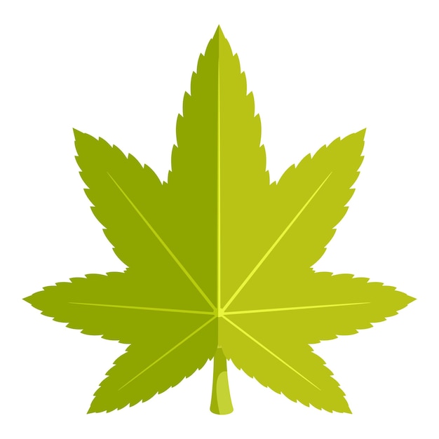 La feuille d'érable verte japonaise étend ses lobes
