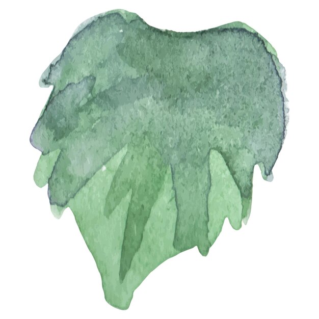 Feuille De Fleur Peinte à L'aquarelle Vectorielle élément De Conception De Fleur Dessiné à La Main Isolé Sur Fond Blanc