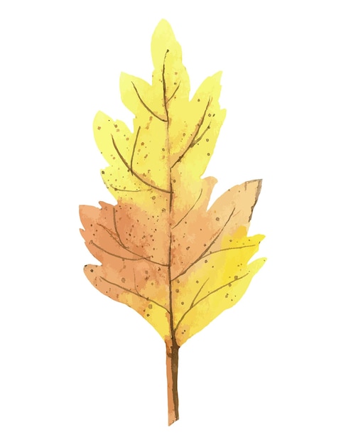 Feuille jaune d'automne. Plante multicolore d'automne. Illustration aquarelle