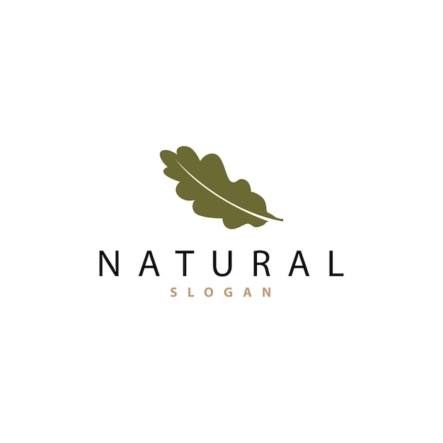 Feuille Logo Feuille De Chêne Logo Design Minimaliste Plante Naturelle Arbre Vector Illustration Modèle
