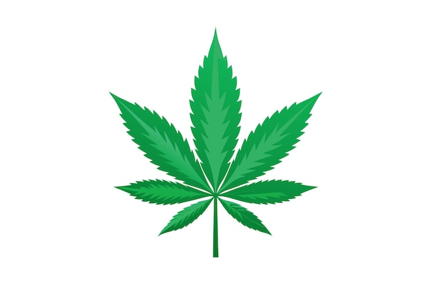 une feuille de marijuana verte sur un fond blanc