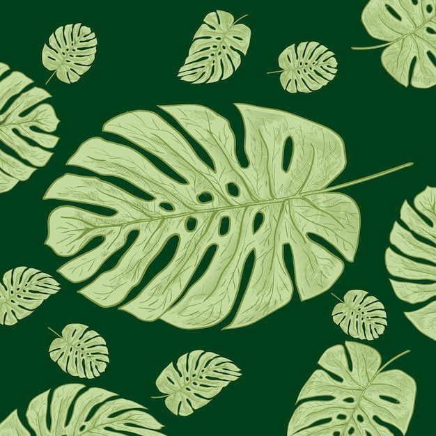 Feuille de monstera