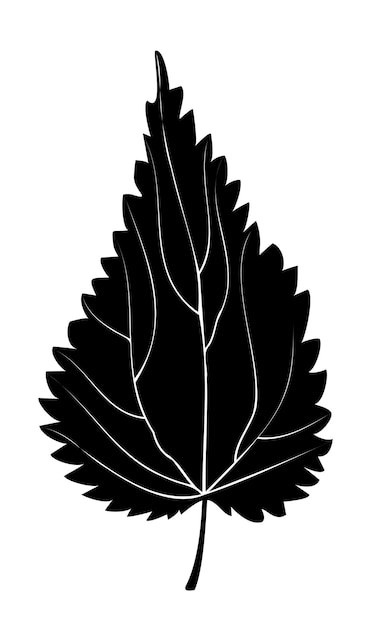 Feuille d'ortie noir et blanc sur fond blanc