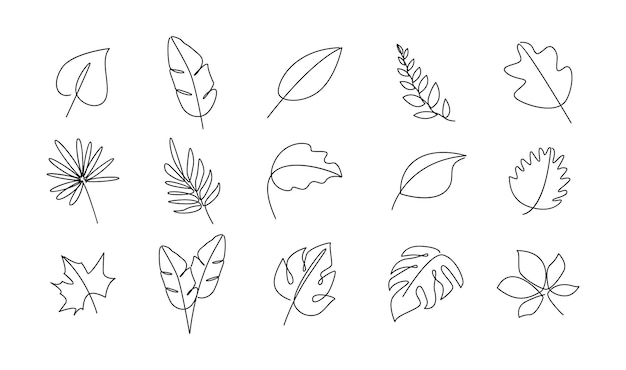 Feuille De Plante Dessin D'une Ligne Illustration Vectorielle Dans Le Style De Ligne Continue