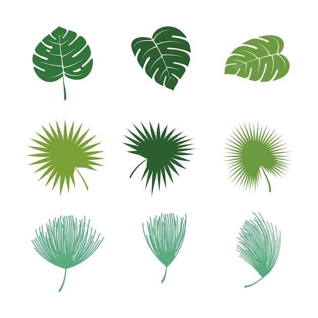 Feuille Tropicale Vector Icon Design Illustration Modèle