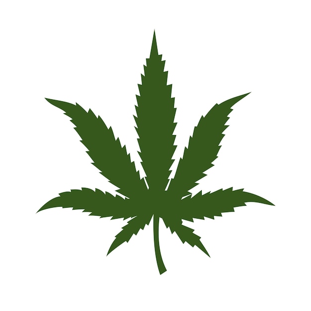 Feuille verte de marijuana Vecteur de cannabis médical isolé sur blanc