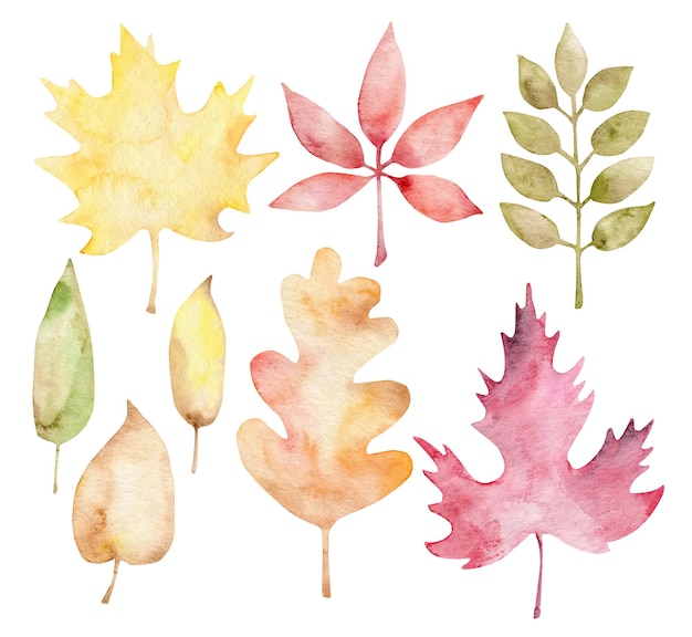 Feuilles D'automne Aquarelle