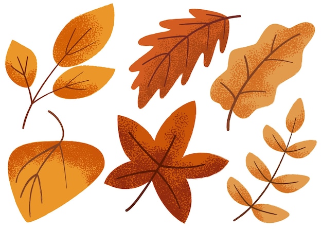 Feuilles D'automne Avec Collection De Texture, Illustration Vectorielle Isolée