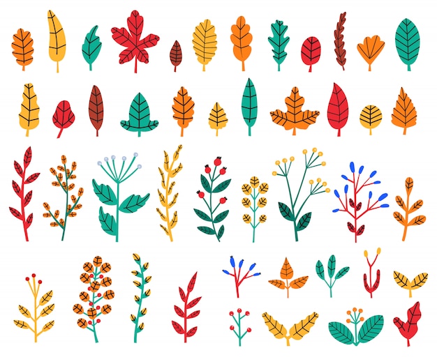 Feuilles D'automne. Feuilles Et Baies De La Forêt D'automne, Herbes Florales Douillettes Doodle, Fleurs Sauvages, Jeu D'illustration De Feuillage D'arbre Botanique. Forêt D'automne, Automne Jaune, Couleur Du Feuillage