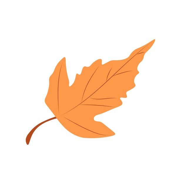 Vecteur feuilles d'automne illustration vectorielle feuilles d'automne vue de dessus de la feuille d'arbre d'automne vecteur plat