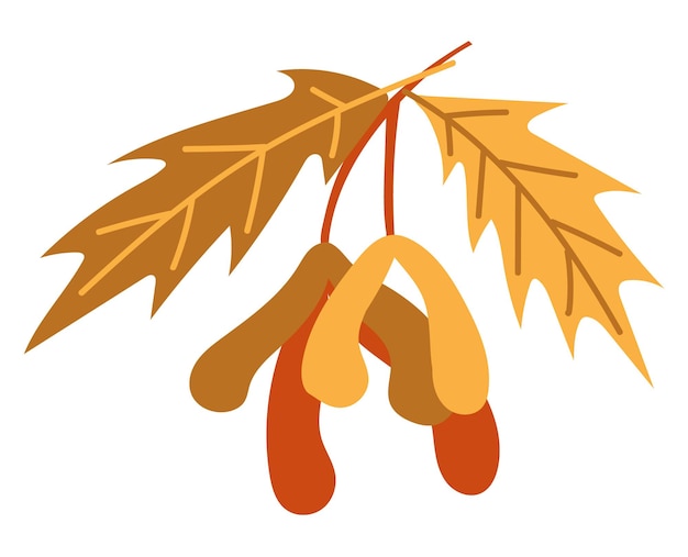 Feuilles d'automne orange illustration vectorielle. Cadre d'Halloween d'automne avec des feuilles, une icône graphique ou une impression isolée sur fond blanc