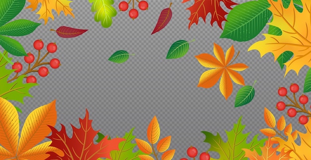 Feuilles D'automne Rouges Et Jaunes Modèle Web Fond Transparent