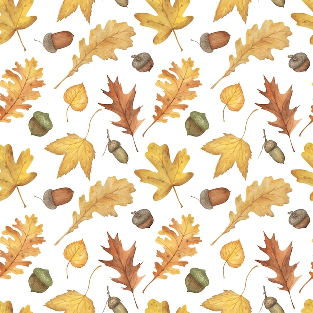 Feuilles d'automne sèches à l'aquarelle et motifs sans couture de glands