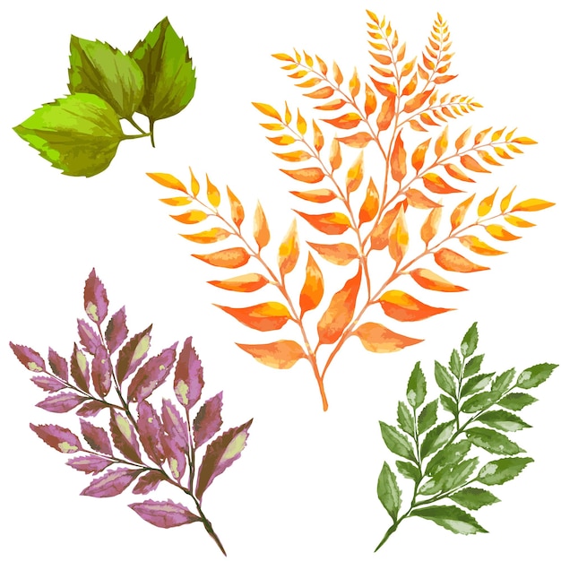 Vecteur feuilles et branches d'arbres plantes mortes sèches illustration vectorielle