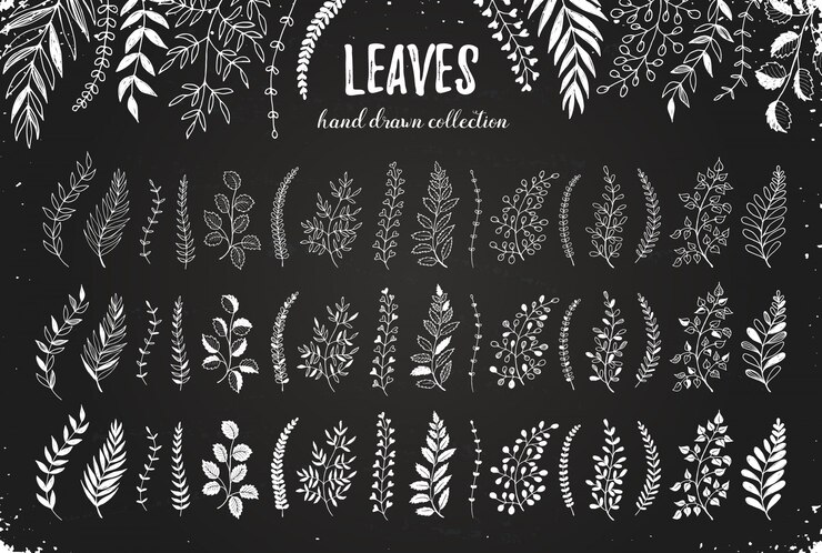 Feuilles dessinées à la main
