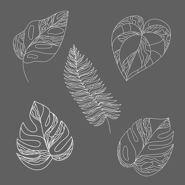 Feuilles De Doodle De Vecteur. Ensemble De Feuilles De Plantes Exotiques Isolées. Décorations Botaniques.