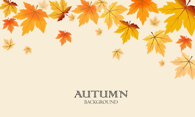 Feuilles d'érable automne fond
