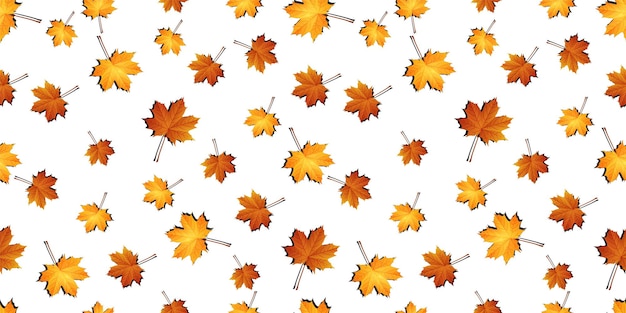 Feuilles d&#39;érable automne sans soudure de fond