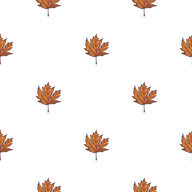 Feuilles D'érable Canadien Gravé Modèle Sans Couture Vintage Fond Botanique Avec Feuillage Dans Un Style Dessiné à La Main
