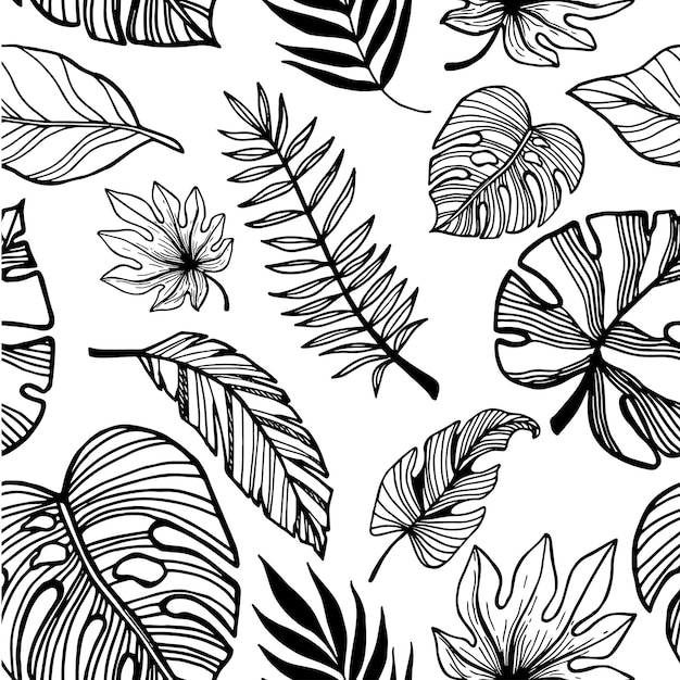 Vecteur feuilles de feuilles de plantes tropicales dessinées à la main de modèle sans couture dans le style doodle illustration vectorielle