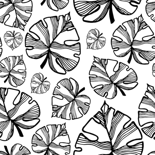 Vecteur feuilles de feuilles de plantes tropicales dessinées à la main de modèle sans couture dans le style doodle illustration vectorielle