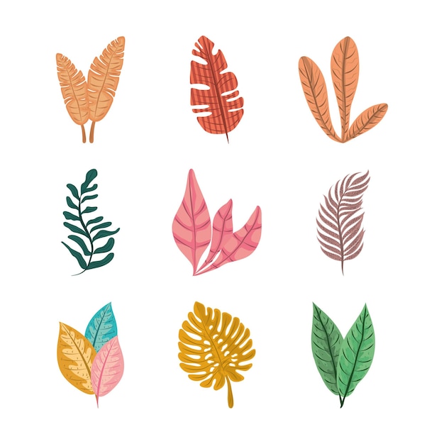 Vecteur feuilles de feuilles tropicales feuillage nature décoration icon set illustration design plat