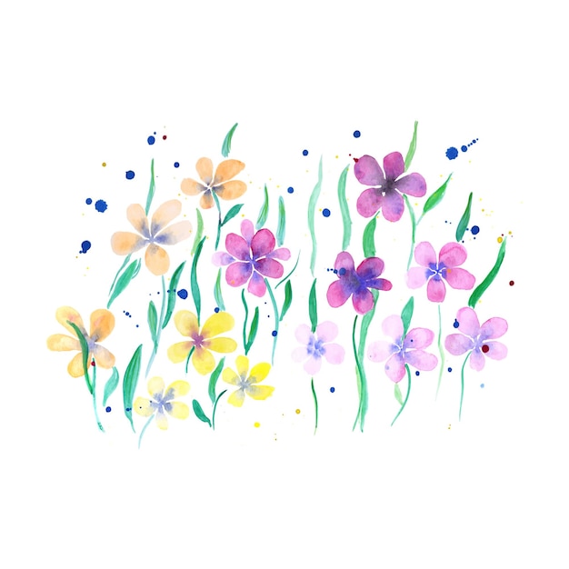Feuilles de fleurs de champ aquarelle colorées dessinées à la main et éclaboussures de couleur sur fond blanc