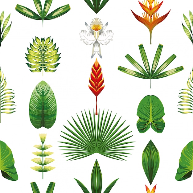 Vecteur feuilles et fleurs tropicales symétriques
