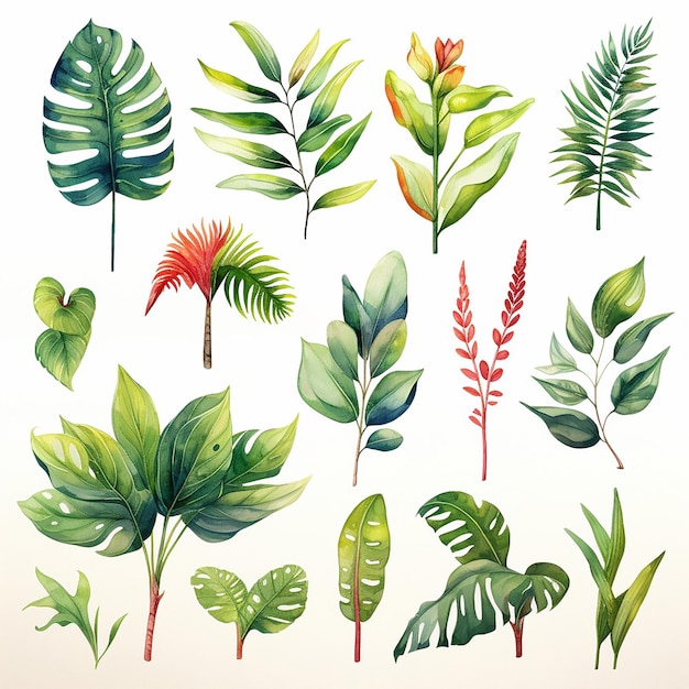 Vecteur feuilles florales aquarelle plante verte été nature illustration botanique design exotique tropical